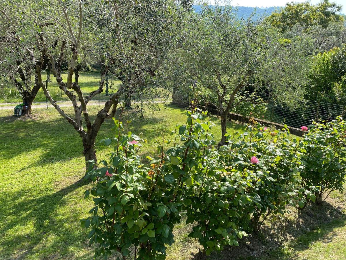 Holiday Home Punta D'Oro With Garden, Parking Place And Private Lake Access At 300 M Iseo Exterior foto