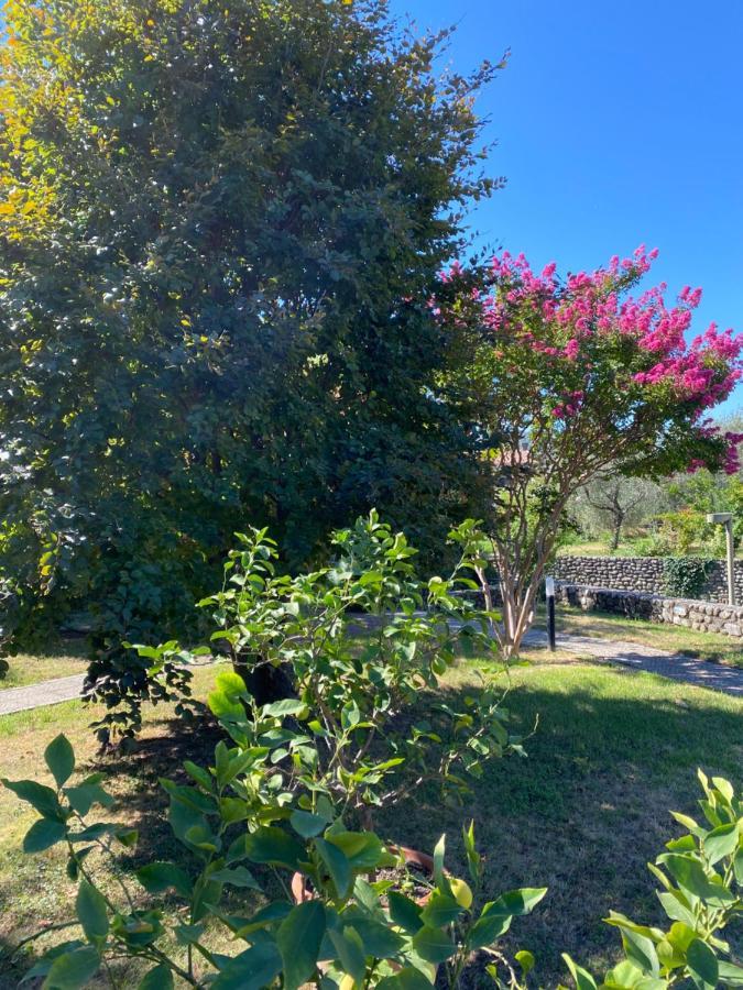 Holiday Home Punta D'Oro With Garden, Parking Place And Private Lake Access At 300 M Iseo Exterior foto