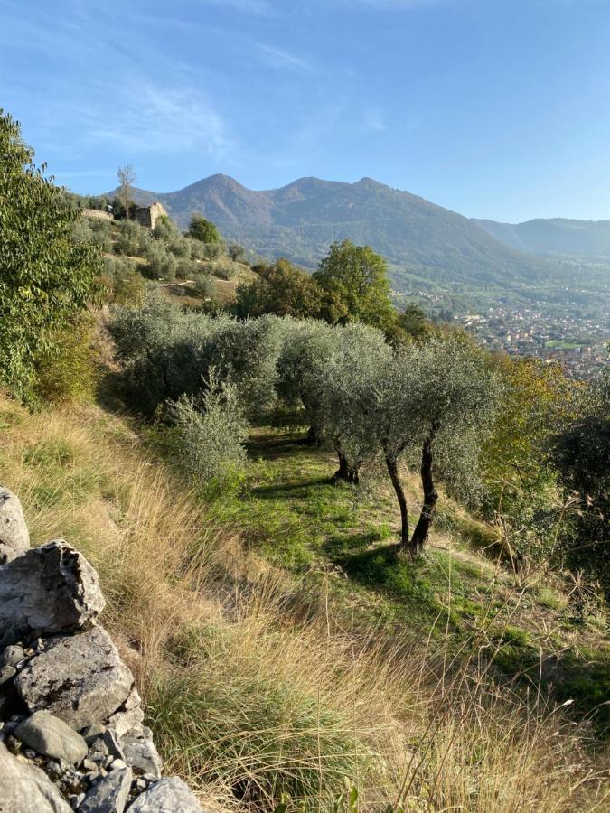 Holiday Home Punta D'Oro With Garden, Parking Place And Private Lake Access At 300 M Iseo Exterior foto