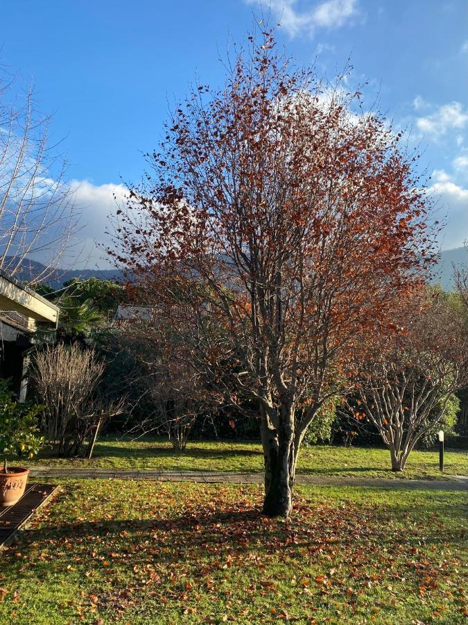 Holiday Home Punta D'Oro With Garden, Parking Place And Private Lake Access At 300 M Iseo Exterior foto