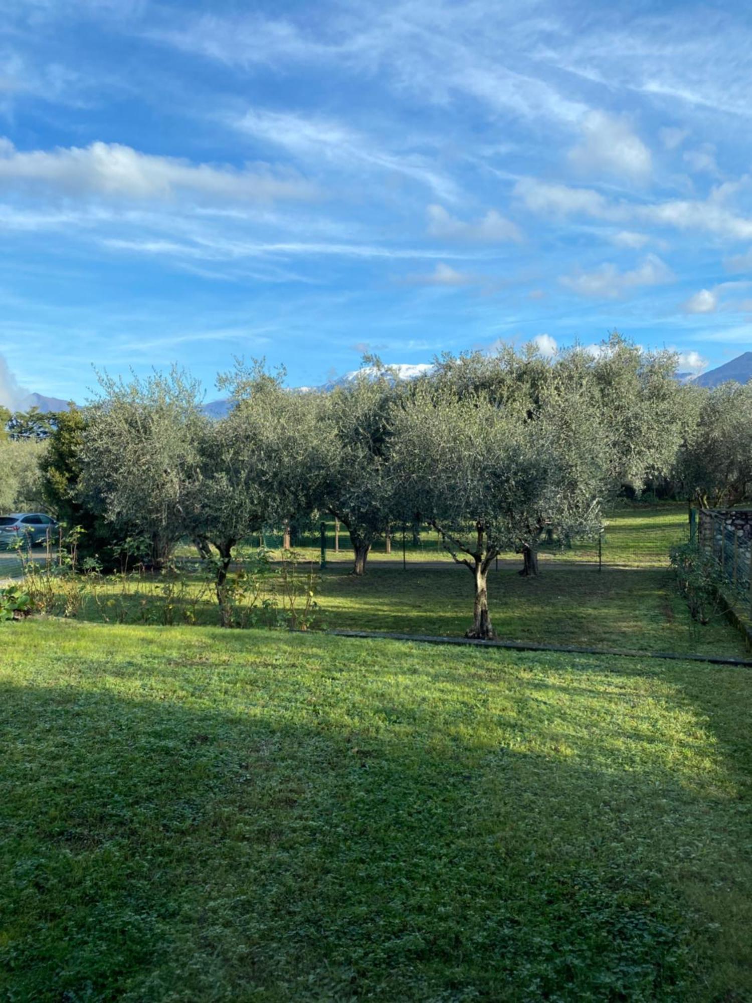 Holiday Home Punta D'Oro With Garden, Parking Place And Private Lake Access At 300 M Iseo Exterior foto